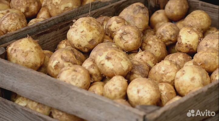 Оператор линии питание+проживание Новосибирск