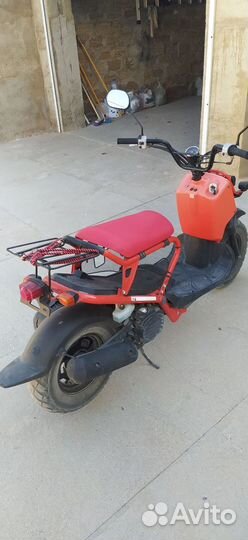 Honda zoomer