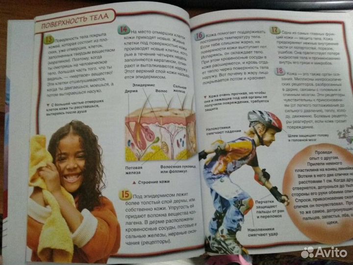 Тело человека 100 фактов