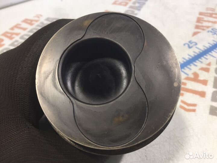 Шкода Румстер Поршень (поршни)