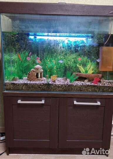Аквариум
