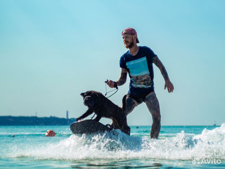 Аренда электросерфа Jetsurf в Геленджике