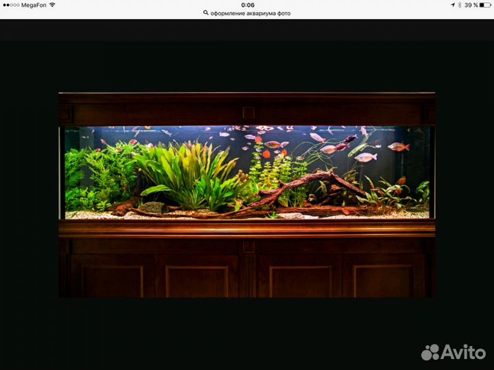 Аквариумы на заказ и обслуживание