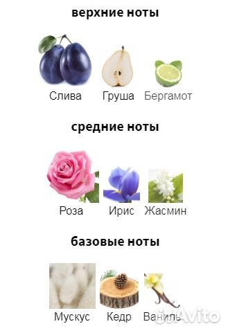 Avon prima (dreams) Прима Эйвон Снятость