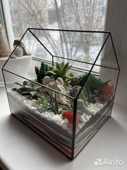 Флорариум подарок