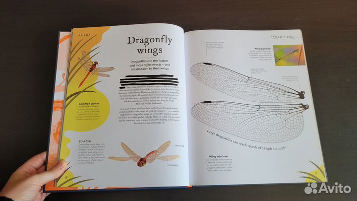 Nature's Treasures. Бен Хоар. Книга на английском