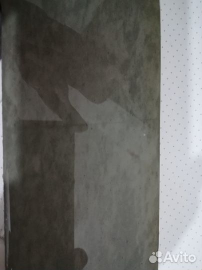 Kyoto Seihonzan Hard Mouth Special