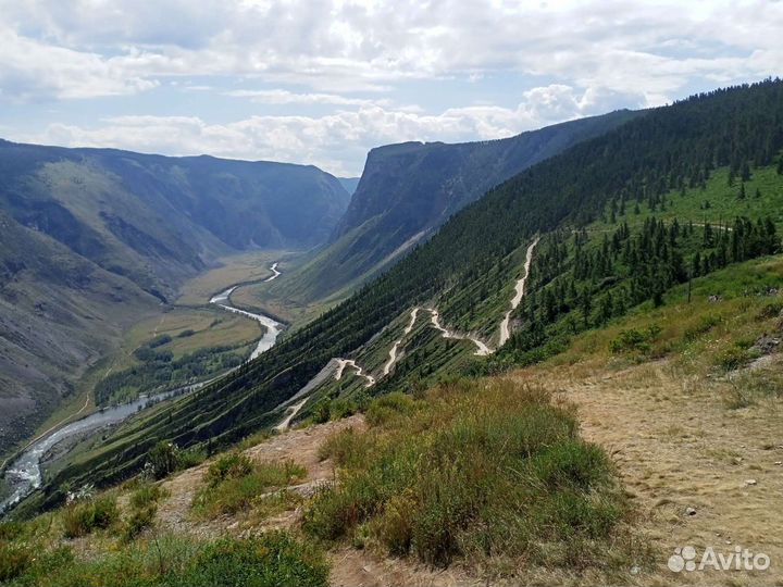Тур в долину Чулышмана
