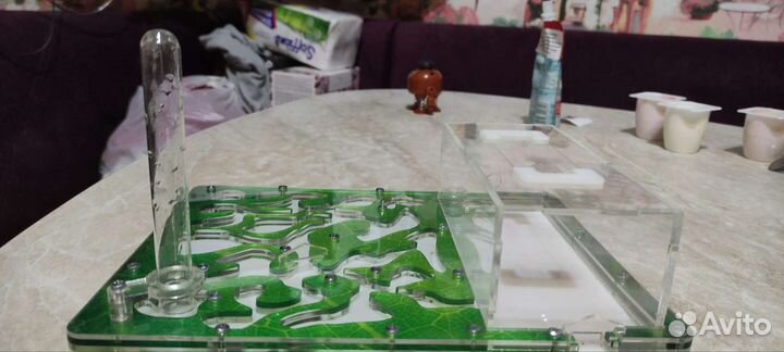 Муравьиная ферма