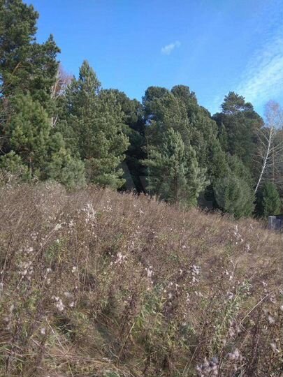 Участок 6 сот. (СНТ, ДНП)