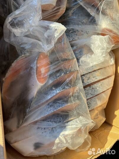 Семга (Лосось) размер 5-6 свежемороженая
