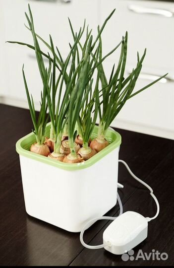 Проращиватель семян