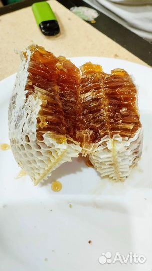 Мёд в сотах. Разнотравье. Алтай. Авитодоставка