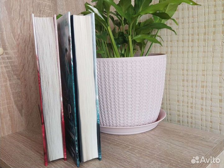 Отбор, Элита Кира Касс