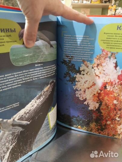 Большая Российская детская энциклопедия, 431 стр