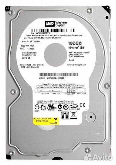 Жесткий диск Western Digital 250Gb WD2500YD