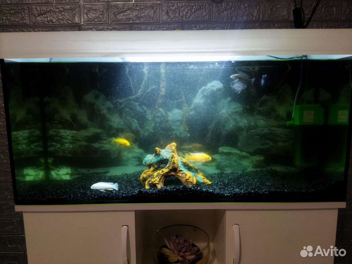 Аквариум