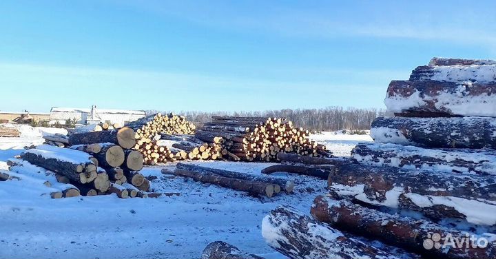 Круглый лес хвоя, береза