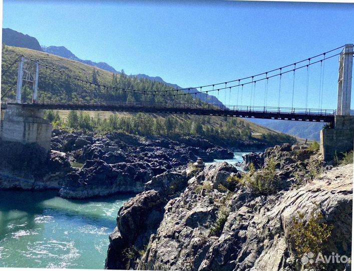 Тур поездка Алтай летний экспедиции до 8 дн