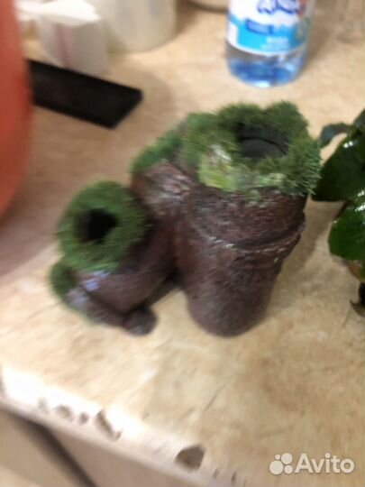 Аквариум 200,гравий,tetra myfeeder,prime