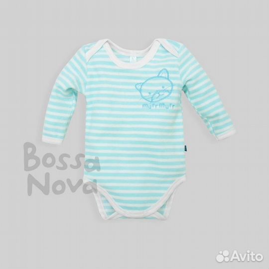 Боди
