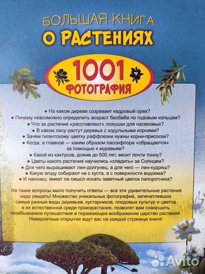 Большая книга. 