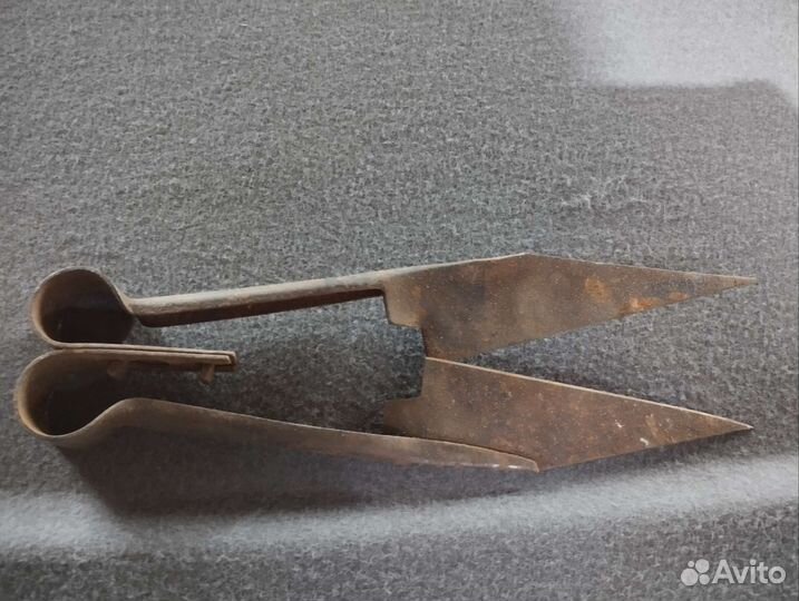 Ножницы для стрижки овец старые