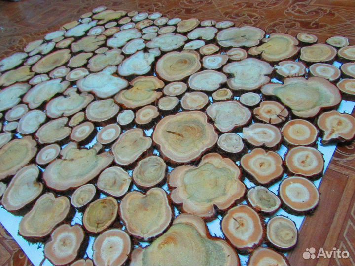 Можжевельник