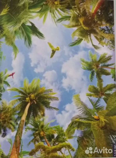 Строительство