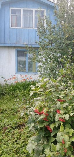 Дача 37 м² на участке 5 сот.