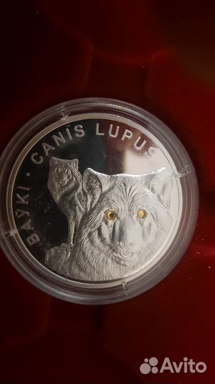 Серебряная монета Беларуси — Волки
