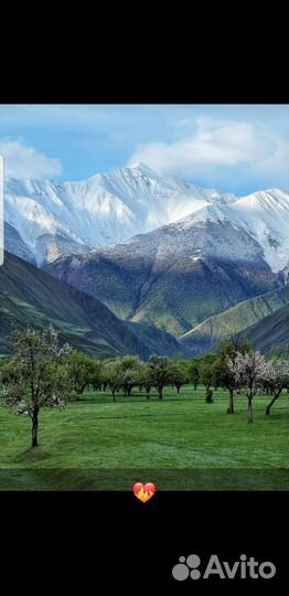 Супер тур в дагестан 5 дней