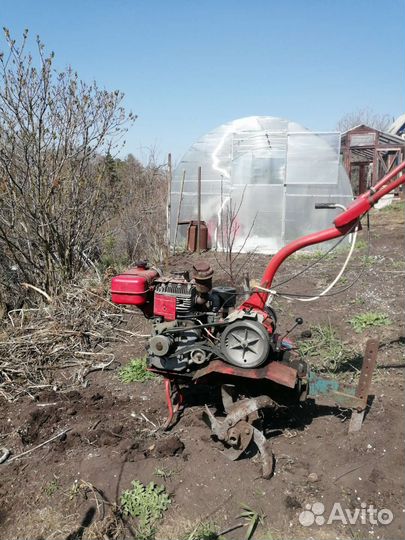 Мотоблок салют бу