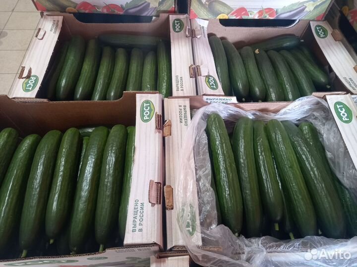 Овощи фрукты оптом, доставка есть