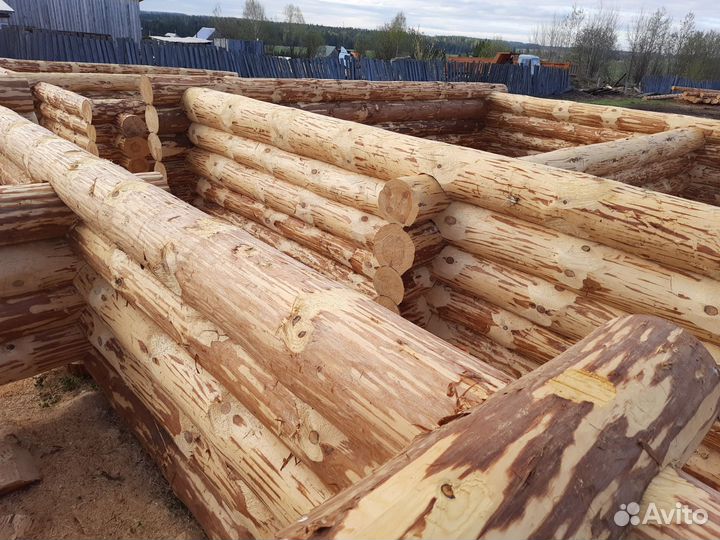 Срубы, сруб, зимний лес