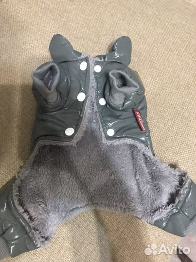 Одежда для собак