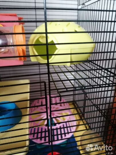 Клетка для хомяка