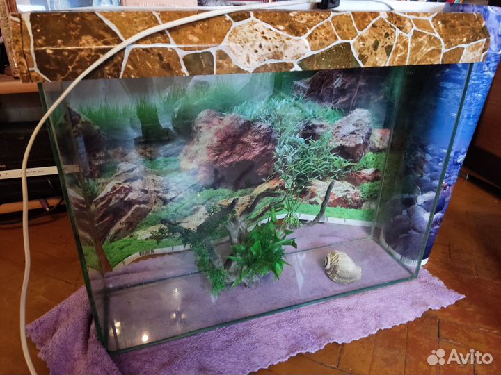Аквариум