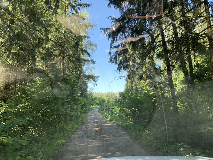 Участок 15,5 сот. (СНТ, ДНП)