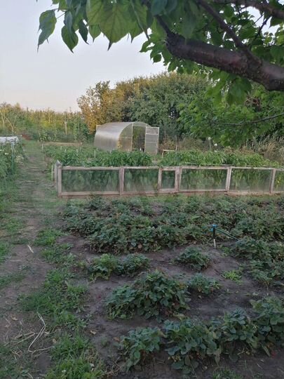 Участок 8 сот. (СНТ, ДНП)