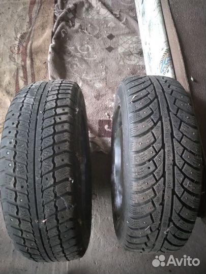 Клёса r14 175/65