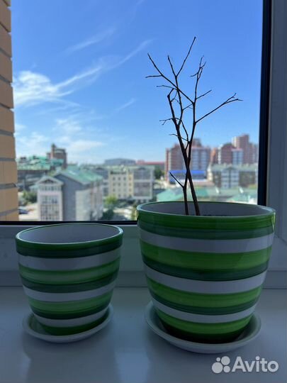 Горшок для цветов керамика зеленый