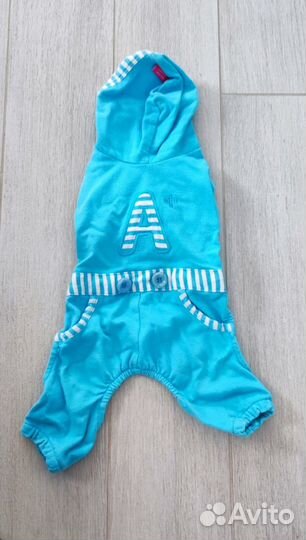 Одежда для животных