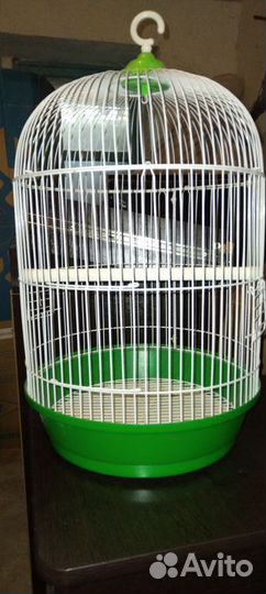Клетка для попугая корелла