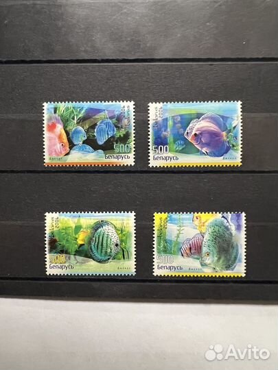 2006 г. Беларусь. Фауна