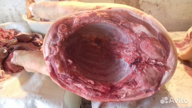 Мясо- свинина домашняя в Усть-Абакане