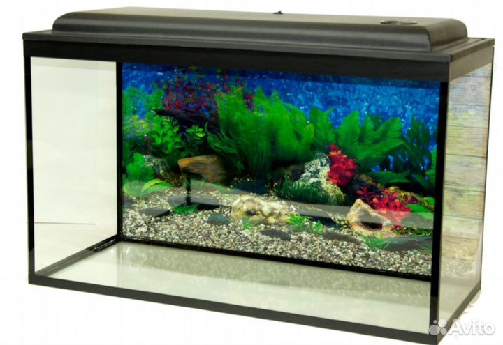Аквариум 50л