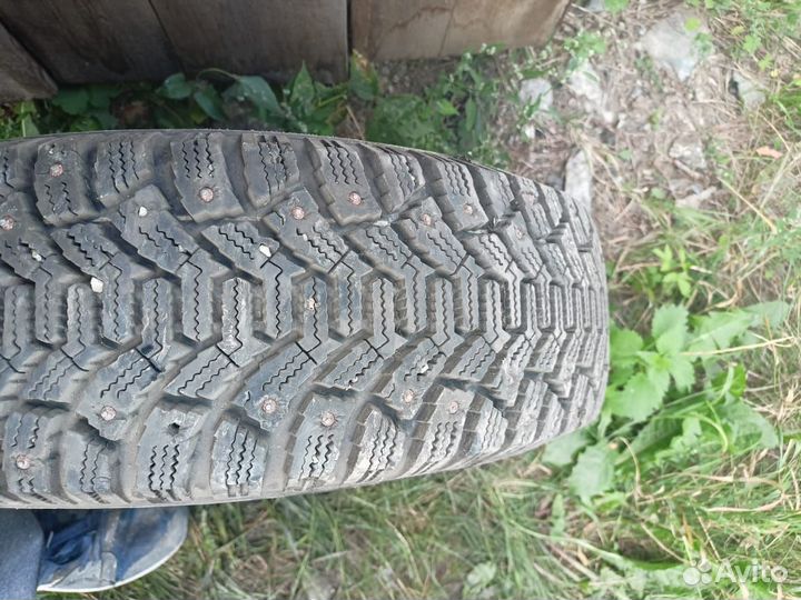 Cordiant Polar 175/70 R13