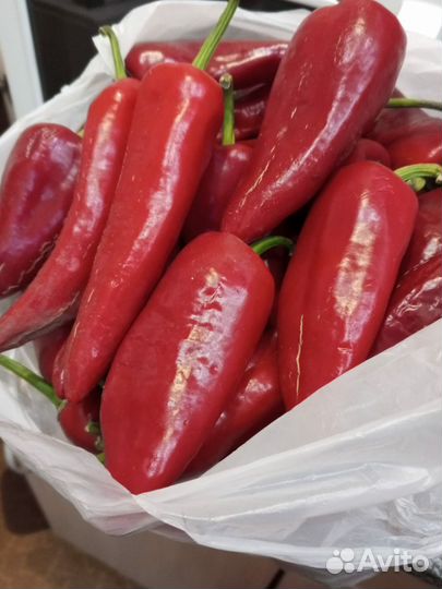 Перец острый