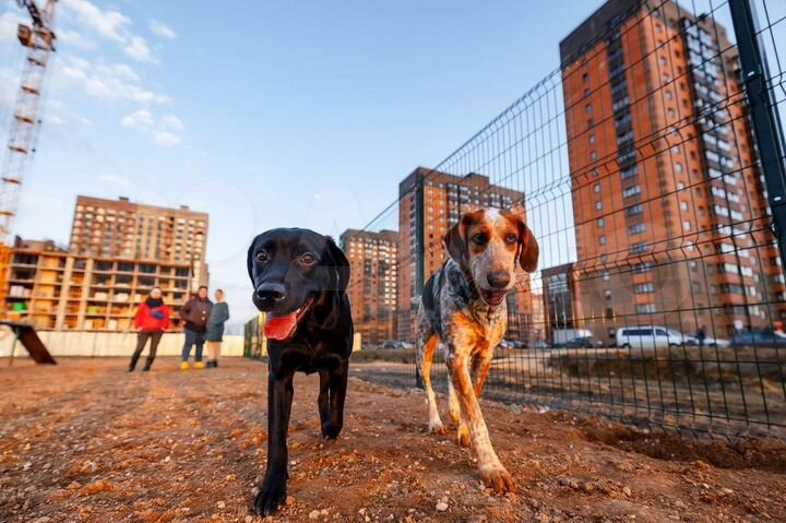 1-к. квартира, 33,2 м², 1/18 эт.